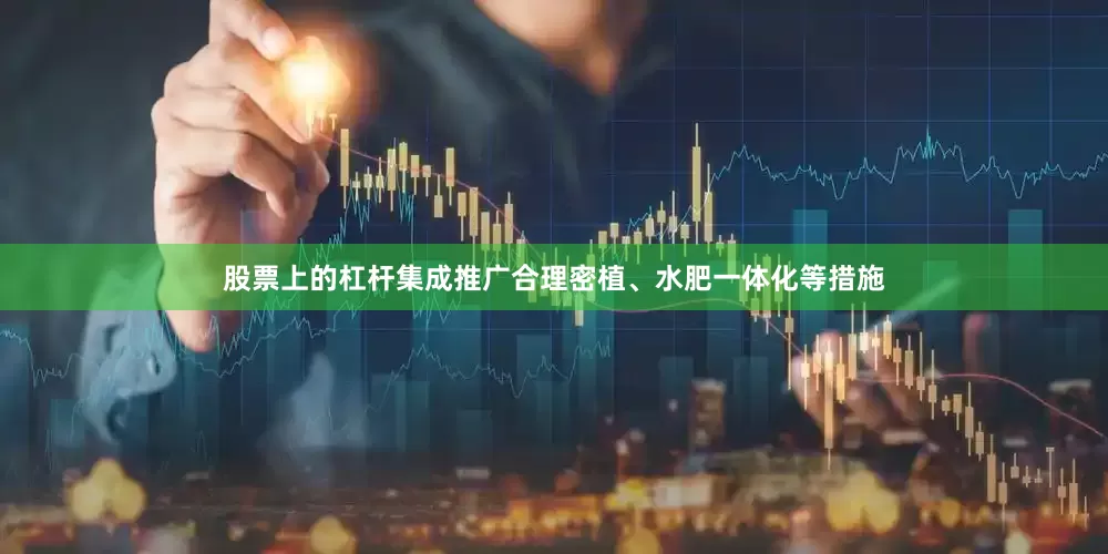 股票上的杠杆集成推广合理密植、水肥一体化等措施